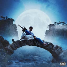 fallback
