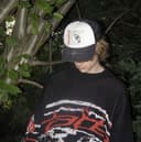 sample