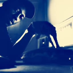 fallback