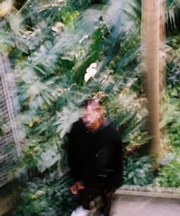 fallback