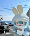 sample