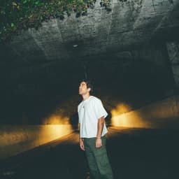 fallback