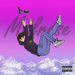 fallback