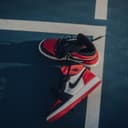sample