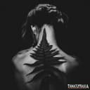 fallback
