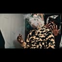 fallback