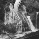 fallback