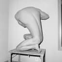fallback