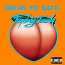 fallback