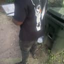 fallback