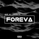 fallback