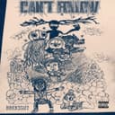 fallback