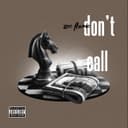 fallback
