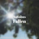 fallback