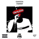 fallback