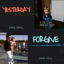 fallback