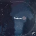 fallback