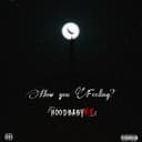 fallback