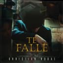 fallback