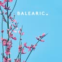 fallback