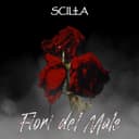 fallback
