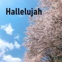 fallback