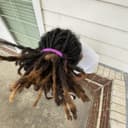 fallback