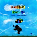 fallback
