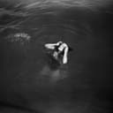 fallback