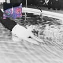 fallback