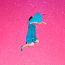 fallback