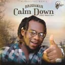fallback