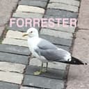 fallback