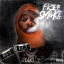 fallback