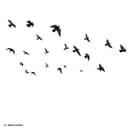 fallback