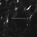 fallback