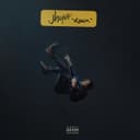 fallback