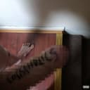 fallback