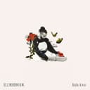 fallback