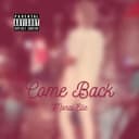 fallback