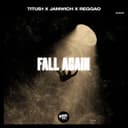 fallback