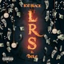 fallback