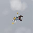 fallback