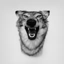 fallback
