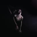 fallback