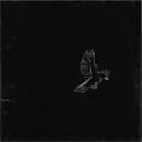 fallback