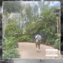 fallback