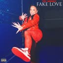 fallback