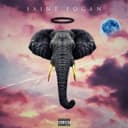 fallback