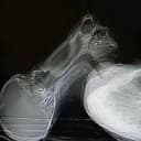 fallback
